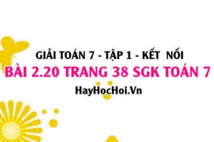 Giải bài 2.20 trang 38 Toán 7 Tập 1 SGK Kết nối tri thức